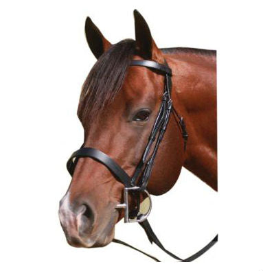 Photo of McAlister Flat Cavesson Bridle