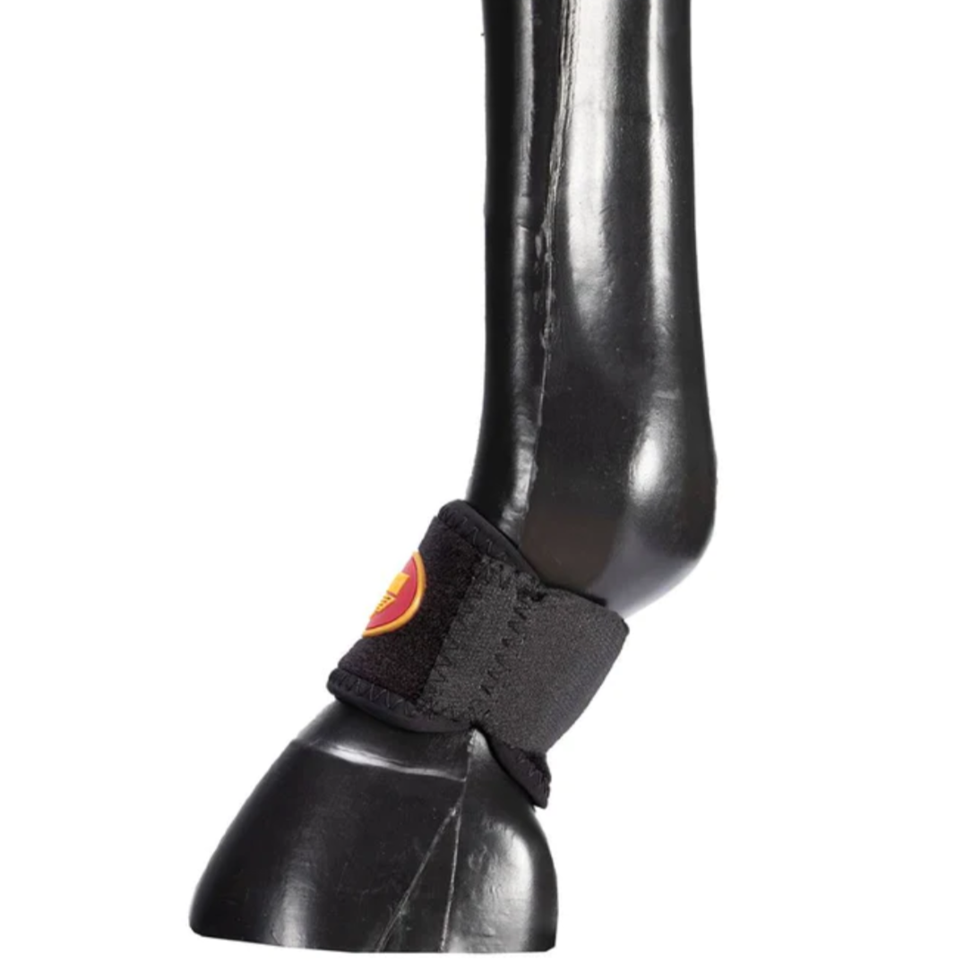 Pastern Wraps