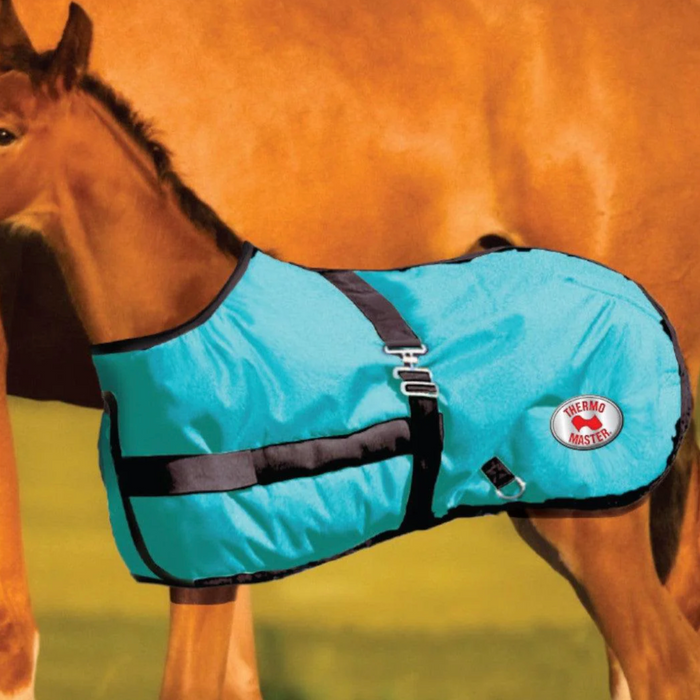 Thermo Master 200g Foal Rug