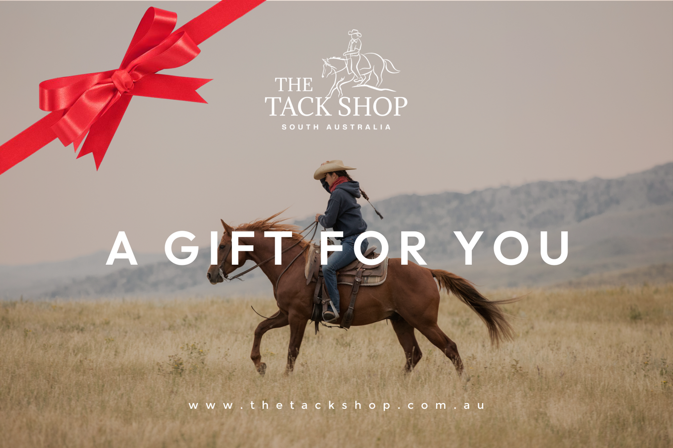 Gift Guide for the Human