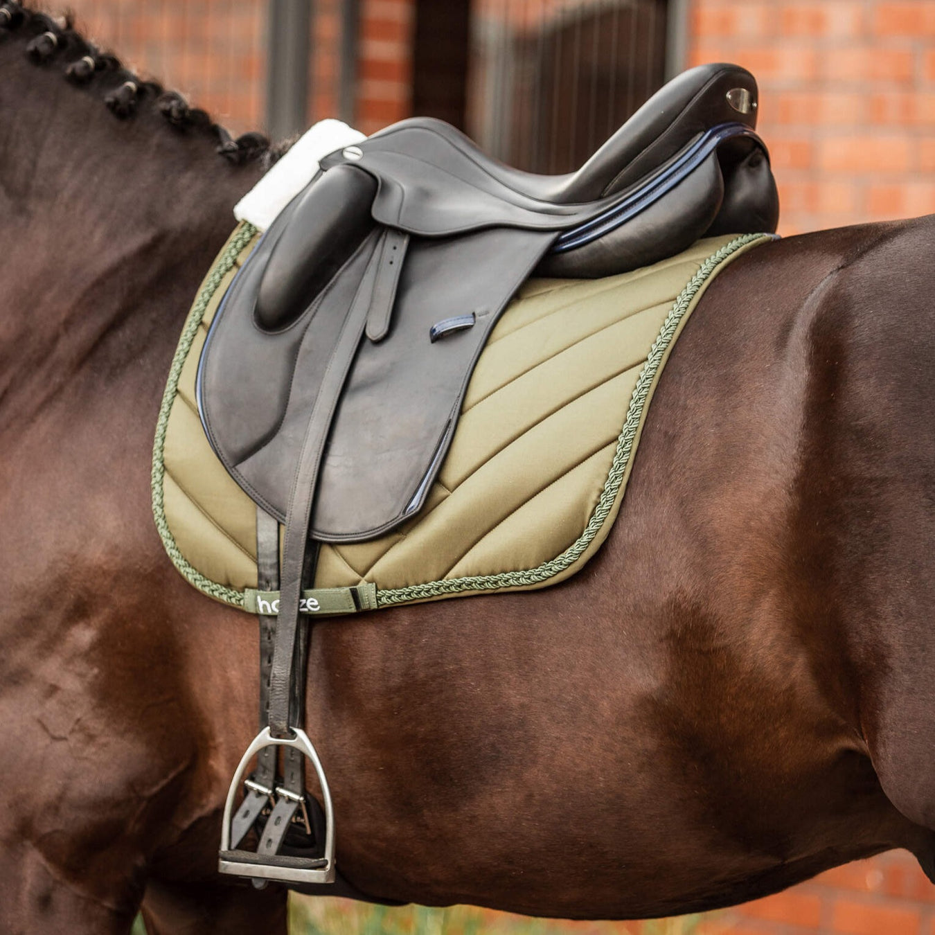 Saddle Pads | Dressage