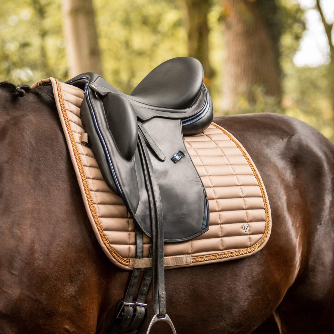 Saddle Pads | Dressage