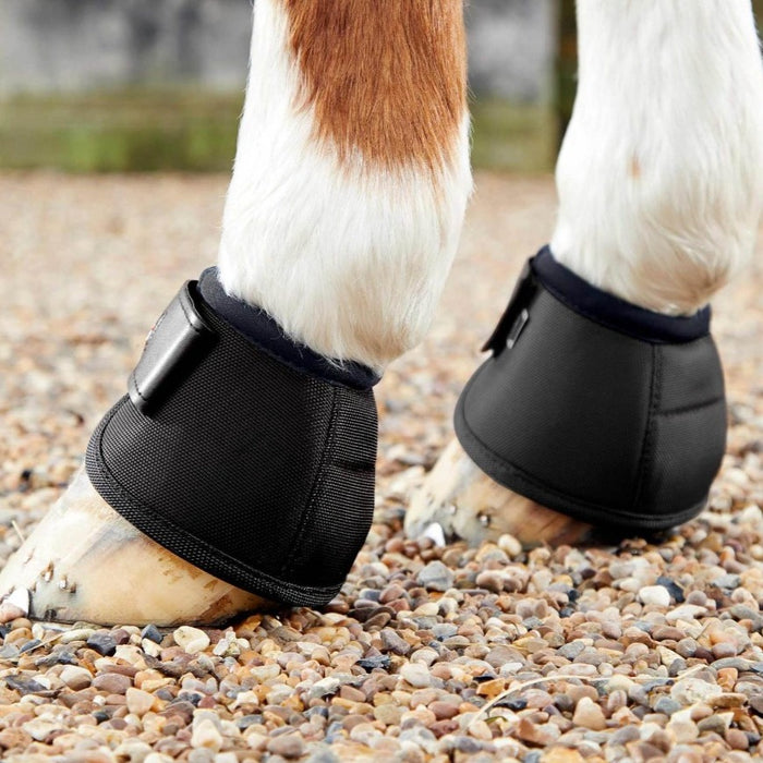 Horse Boots, Neoprene Sling Boots