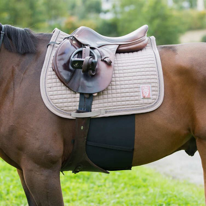 Photo of horse wearing Horze Elastic Belly Guard