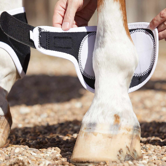 Photo of Premier Equine Magnetic Fetlock Boots