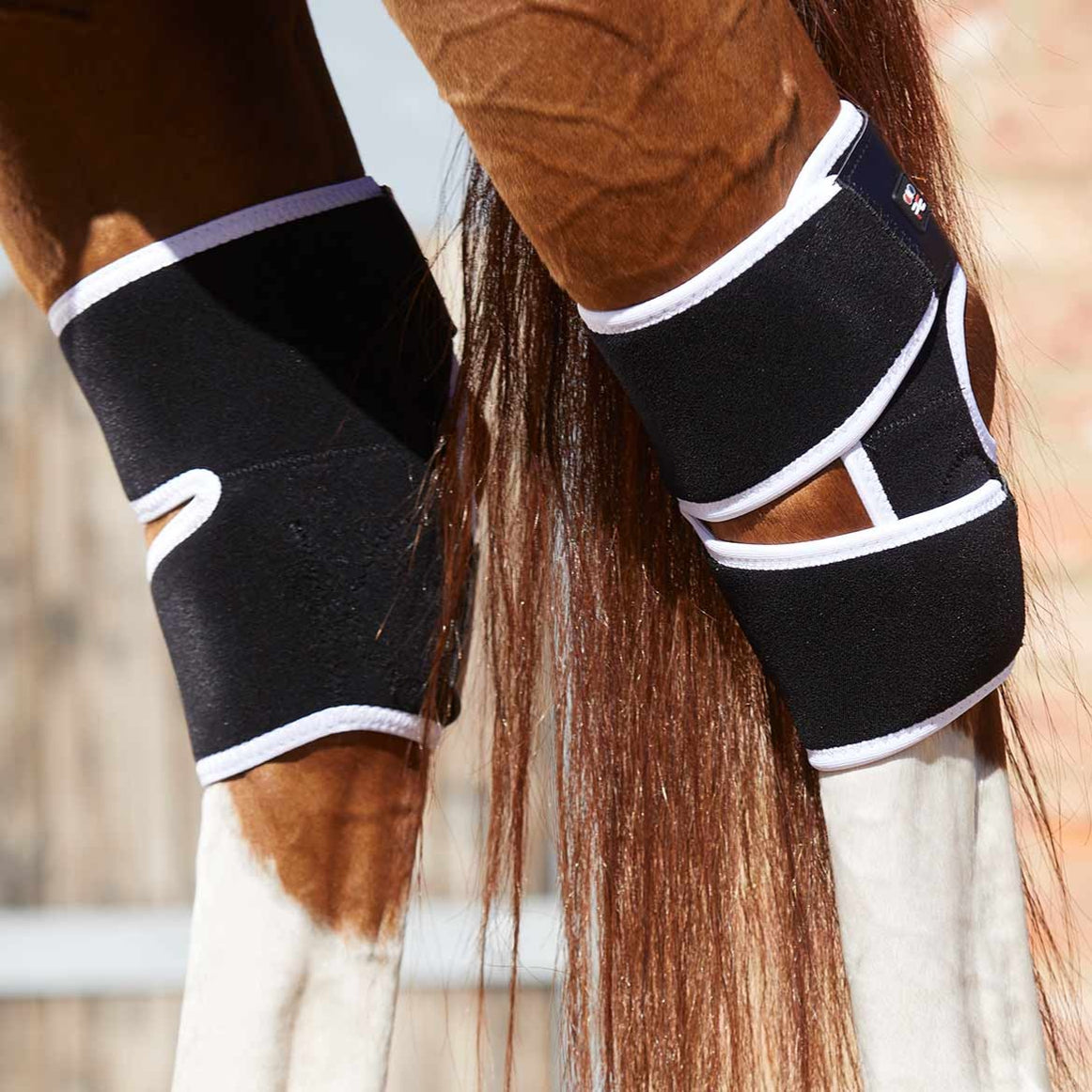 Premier Equine BiPolar Hock Boots — The Tack Shop