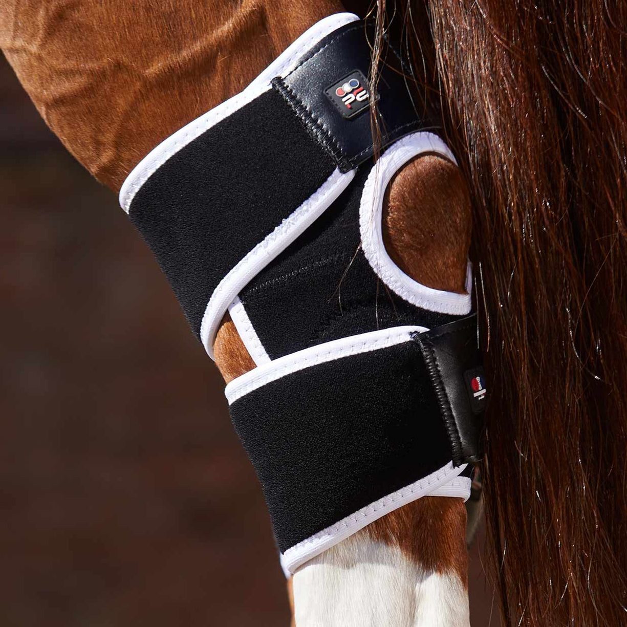 Premier Equine BiPolar Hock Boots — The Tack Shop