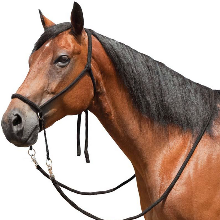 Ezy Ride Bitless Bridle with Reins