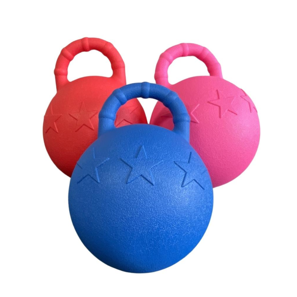 Treats & Toys