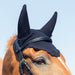 Photo of Horse Wearing BV BVX Raxus Silent Ear Net Sound Noise Reducing