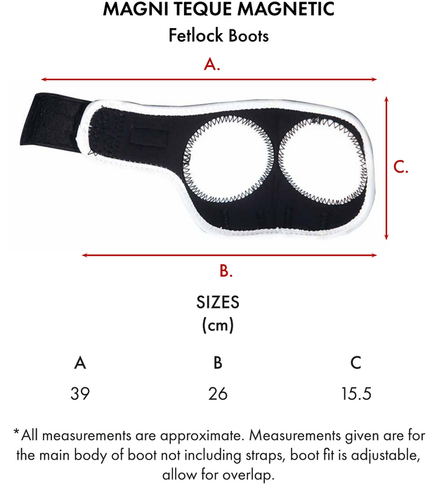Size guide of Photo of Premier Equine Magnetic Fetlock Boots