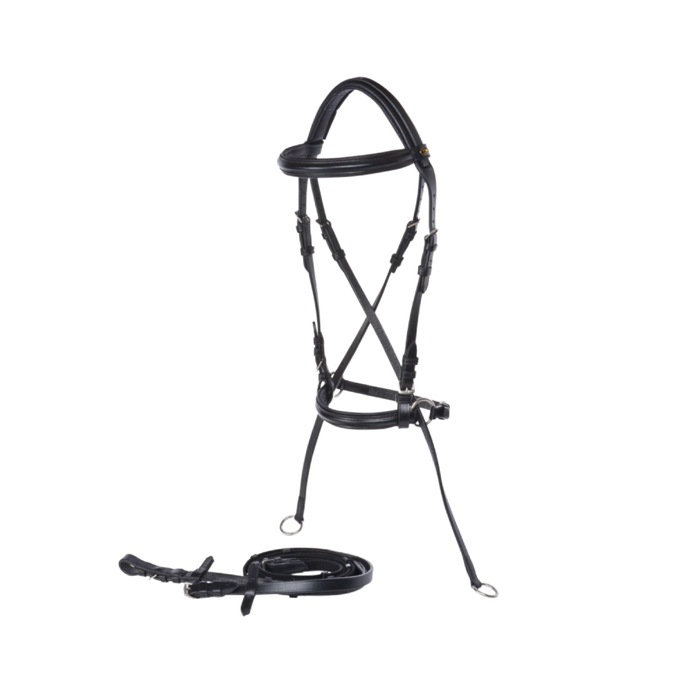 Horse Riding | Bridles — The Tack Shop