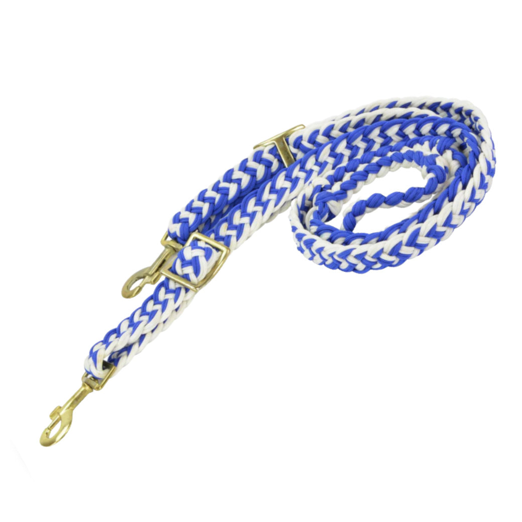 Reins
